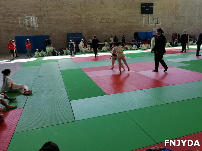 Juegos deportivos de Navarra - BENJAMÍN. RESULTADOS